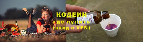 эйфоретик Алексин