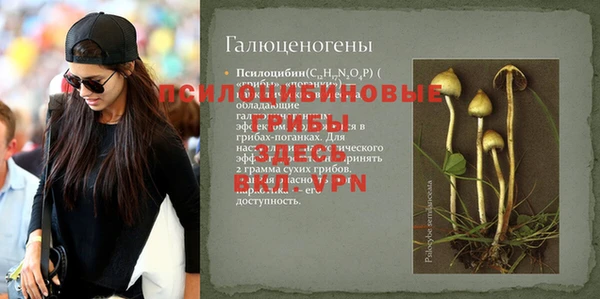 экстази Алексеевка
