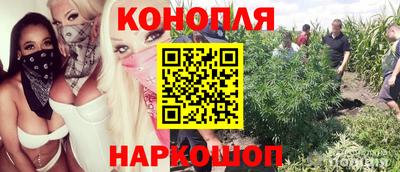 прущие крисы Ивантеевка