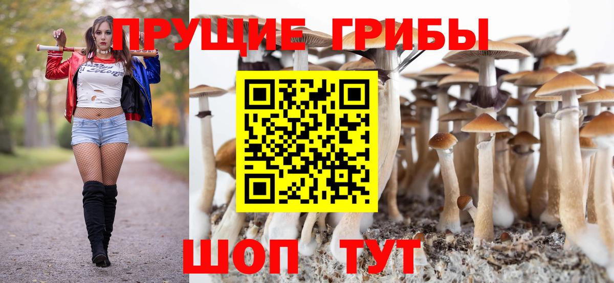 Галлюциногенные грибы MAGIC MUSHROOMS Заинск